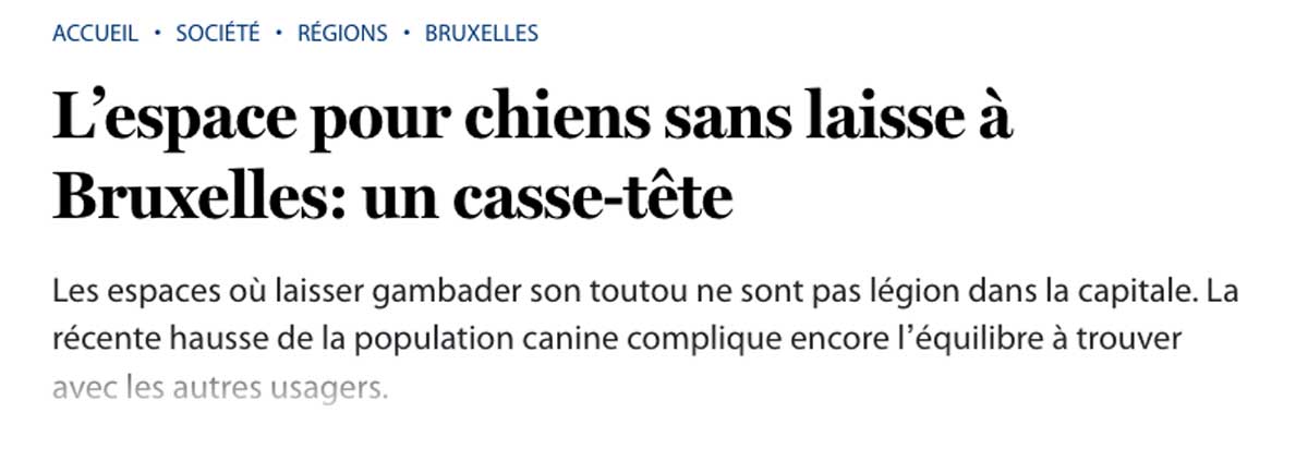 L'espace pour chiens sans laisse à Bruxelles: un casse-tête