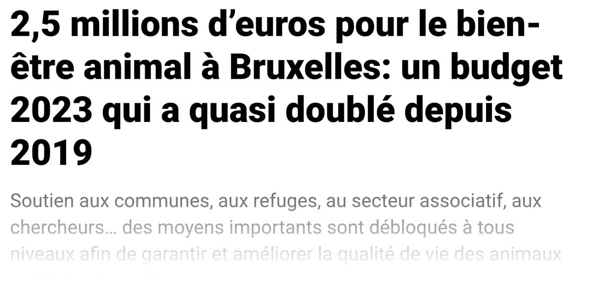 Extrait de presse, Supresse : "2,5 millions d'euros pour le bien-être animal à Bruxelles: un budget 2023 qui a quasi doublé depuis 2019"