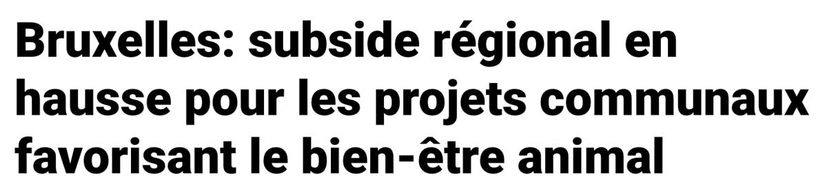 Extrait de presse, SudPresse : "Bruxelles: subside régional en hausse pour les projets communaux favorisant le bien-être animal".