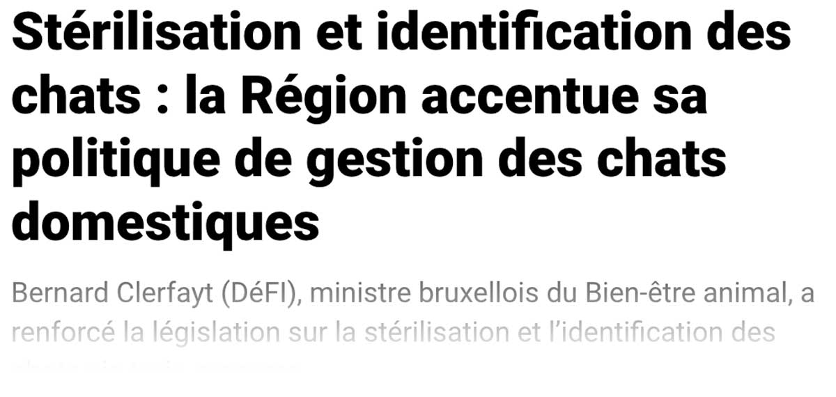 Extrait de presse, La Capitale : "Stérilisation et identification des chats : la Région accentue sa politique de gestion des chats domestiques"